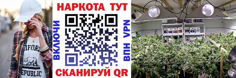 Купить наркотики цена Тетюши A PVP  Марихуана  Меф  Псилоцибиновые грибы  Гашиш 