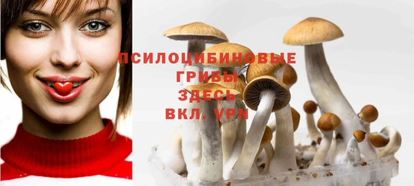 сатива Нефтекумск