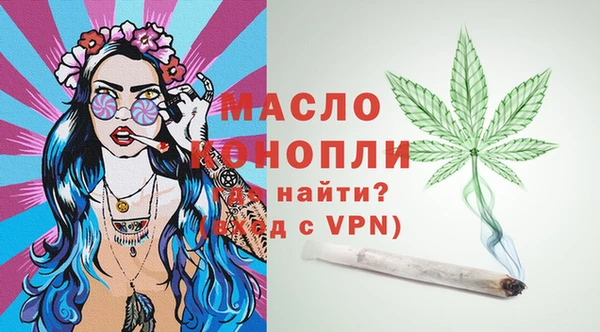 МДПВ Нея