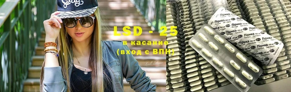 сатива Нефтекумск