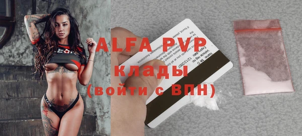 МДПВ Нея